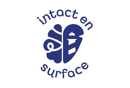Aperçu du projet Intact en Surface